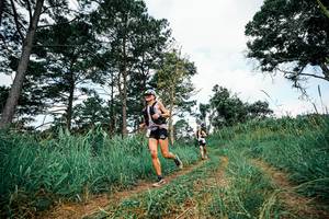 BIB: 
                            <button type="button" onclick="openModal(26012573)" class="btn btn-primary btn-sm float-right btn-popup" data-toggle="modal" data-target=".modal-high-quality">
                        <i class="fas fa-shopping-cart"></i> Add to Cart
                    </button>
                                            <button type="button" onclick="isThisMe(26012573, true)" class="btn btn-success btn-sm float-right btn-popup btn-isme hidden" data-toggle="tooltip" data-placement="bottom" title="นี่คือรูปของคุณใช่ไหม คลิกที่นี่เพื่อเอาเข้าอัลบั้ม">
                        <i class="fas fa-plus"></i> Add to album
                    </button>
                    <button type="button" onclick="isThisMe(26012573, false)" class="btn btn-warning btn-sm float-right btn-popup btn-isnotme hidden">
                        <i class="fas fa-ban"></i> Remove from album
                    </button>